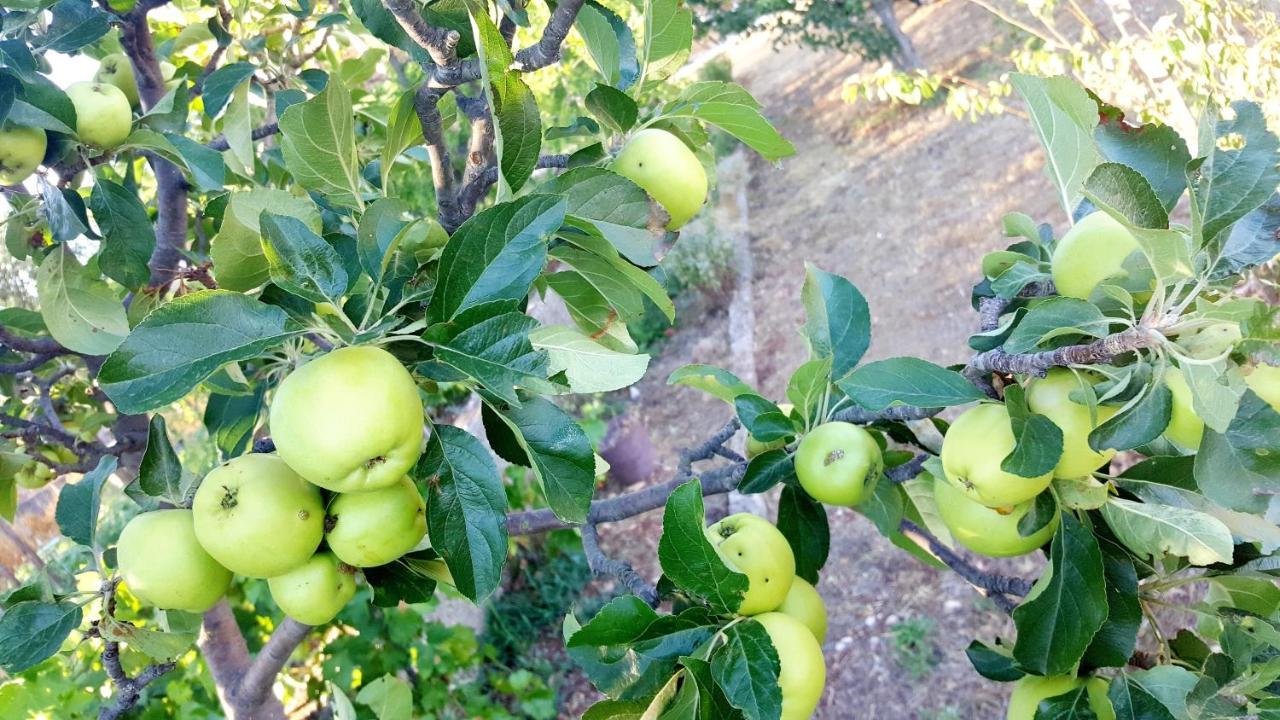 Konjevrate Village House Fafarinka - Close To Krka National Park מראה חיצוני תמונה