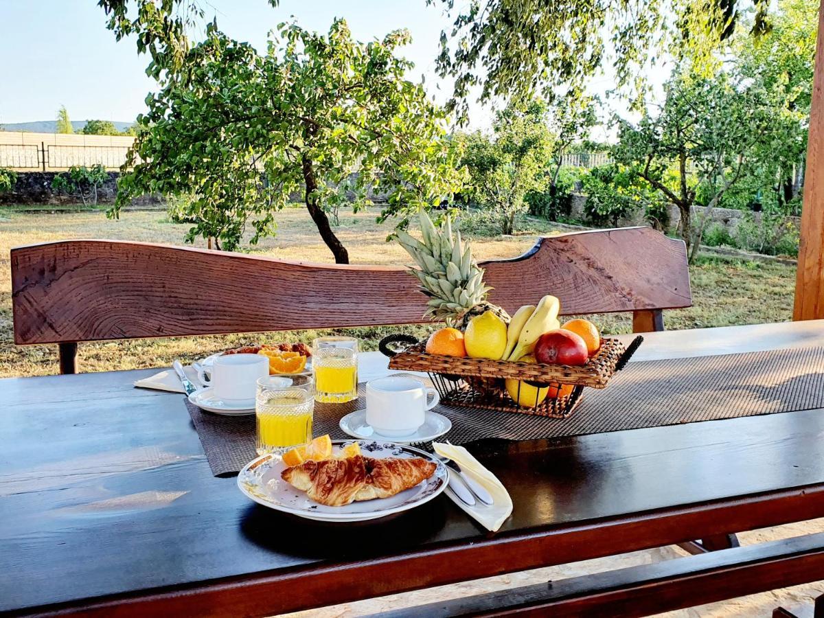 Konjevrate Village House Fafarinka - Close To Krka National Park מראה חיצוני תמונה
